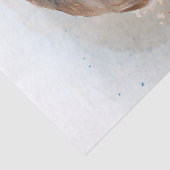 ロビンバードウォーターの色 薄葉紙 (詳細)