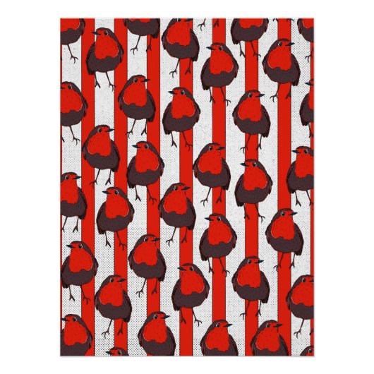 ロビンパターン ポスター (正面)