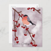 ロビンパーソナライズされたクリスマスカード シーズンポストカード (正面/裏面)