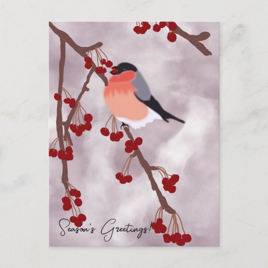 ロビンパーソナライズされたクリスマスカード シーズンポストカード (正面)