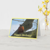 ロビンフォト誕生日 カード (黄色い花)