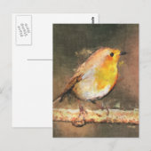 ロビンレッドバスト ポストカード (正面/裏面)