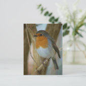 ロビンレッドバスト ポストカード (スタンド正面)