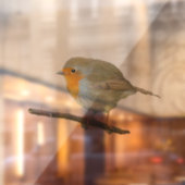 ロビンレッドブストウィンドウにしがみつく ウィンドウサイン (シート2)