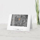 ロビンレッドブレストクリスマスカード シーズンカード (裏面)