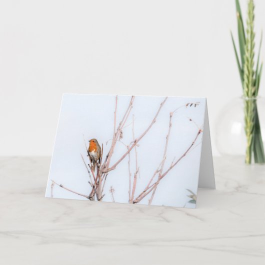 ロビンレッドブレストノート カード (正面)