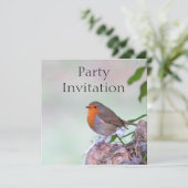 ロビンレッドブレスト招待状 招待状 (スタンド正面)