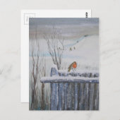 ロビンレッド胸 ポストカード (正面/裏面)