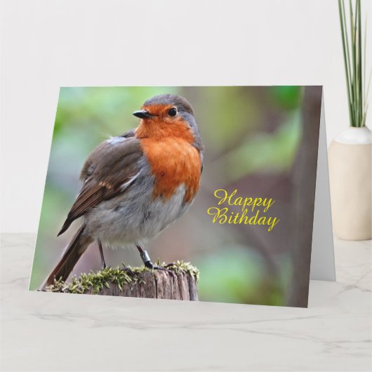 ロビンレフスト カード (正面)