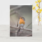 ロビンワイルドライフ写真 カード (黄色い花)