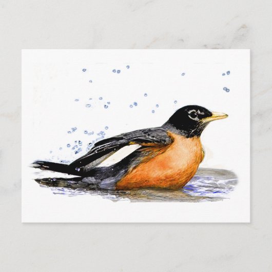 ロビン入浴 ポストカード (正面)