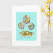 ロビン卵の青の貝殻 カード (黄色い花)