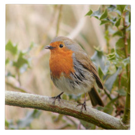 ロビン圧倒すること タイル