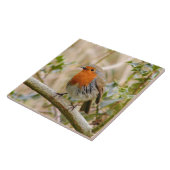 ロビン圧倒すること タイル (側面)