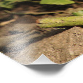 ロビン少年 フォトプリント            (角)