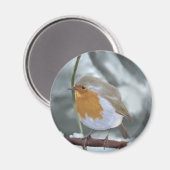 ロビン磁石 マグネット (正面/裏面)