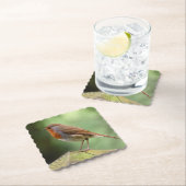 ロビン紙コースター ペーパーコースター (インサイチュ)