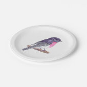 ロビン紙プレート ペーパープレート (アングル)