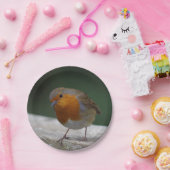 ロビン紙プレート ペーパープレート (パーティー)