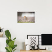 ロビン自然写真ポスター ポスター (ホームオフィス)