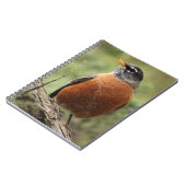 ロビン赤い胸の螺線形ノート ノートブック (左側)