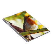 ロビン赤い胸の鳥 ノートブック (右側)