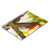 ロビン赤い胸の鳥 ノートブック (左側)