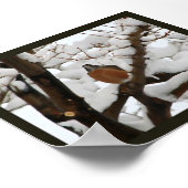 ロビン黒 ポスター (角)