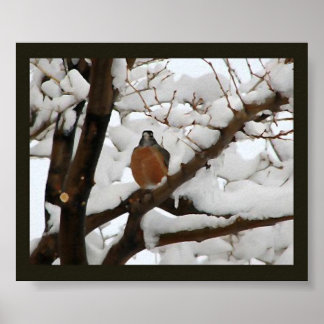 ロビン黒 ポスター