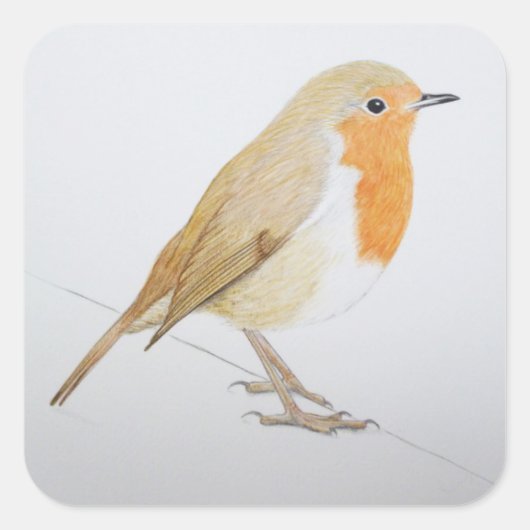 ロビン2011 スクエアシール (正面)