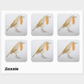 ロビン2011 スクエアシール (シート)