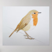 ロビン2011 ポスター (正面)