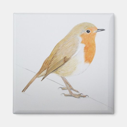 ロビン2011 マグネット (正面)