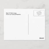 ロビン・エッグの巣 ポストカード (裏面)
