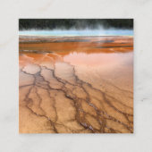 ロビン・エッグブルーとホワイト写真 スクエア名刺 (正面)