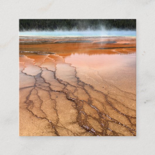 ロビン・エッグブルーとホワイト写真 スクエア名刺 (正面)