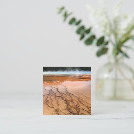 ロビン・エッグブルーとホワイト写真 スクエア名刺 (スタンド正面)