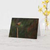 ロビン カード (黄色い花)