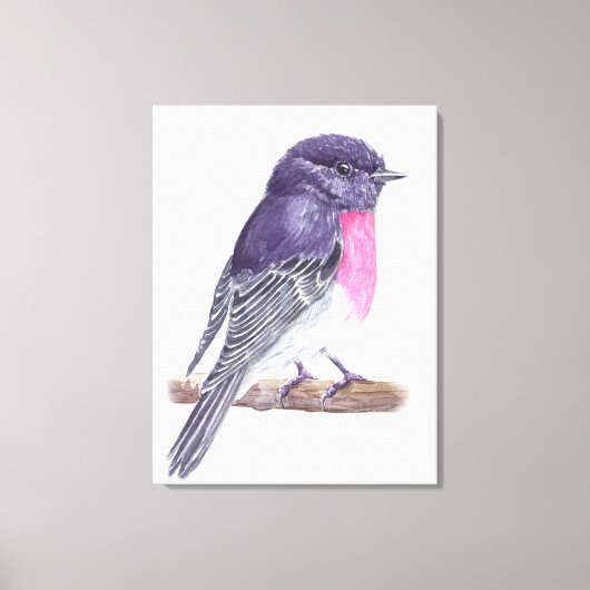 ロビン キャンバスプリント (正面)