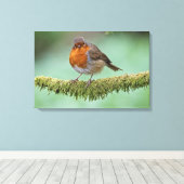 ロビン キャンバスプリント (インサイチュ (ウッドフロア))