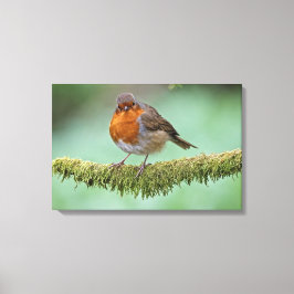 ロビン キャンバスプリント