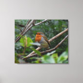 ロビン キャンバスプリント (正面)