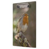 ロビン クリップボード (左)