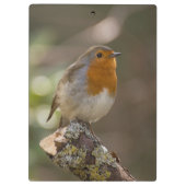 ロビン クリップボード (裏面)