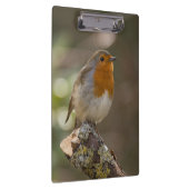 ロビン クリップボード (右)