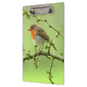 ロビン クリップボード (左)