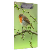 ロビン クリップボード (右)