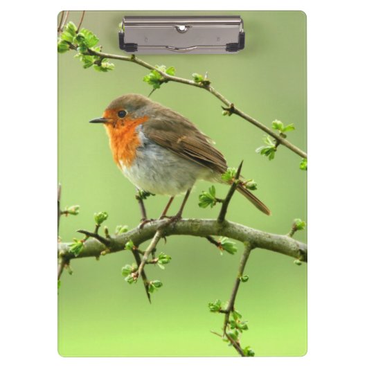 ロビン クリップボード (正面)