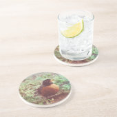 ロビン コースター (側面)