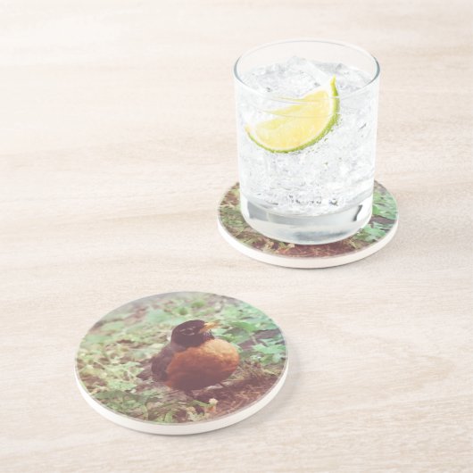 ロビン コースター (側面)